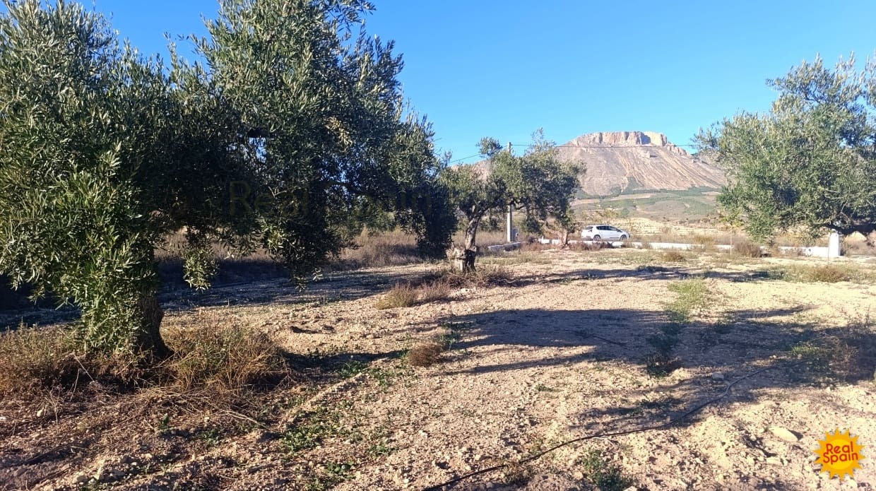 1 slaapkamer Finca/Landhuis te koop in Velez-Blanco - € 59.000 (Ref: 9376698)