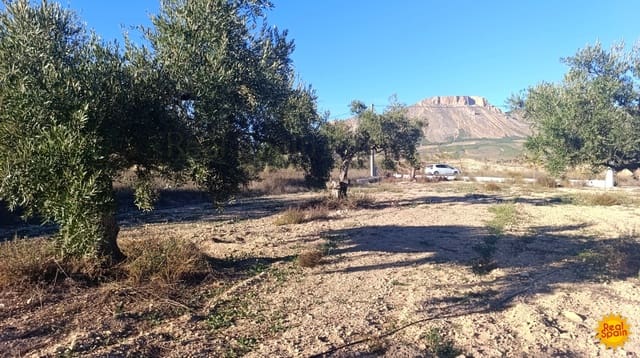 1 slaapkamer Finca/Landhuis te koop in Vélez-Blanco - € 59.000 (Ref: 9376698)