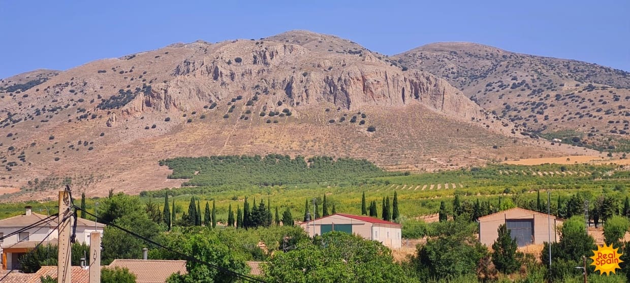 1 quarto Casa em Banda para venda em Las Vertientes - 51 000 € (Ref: 9483212)