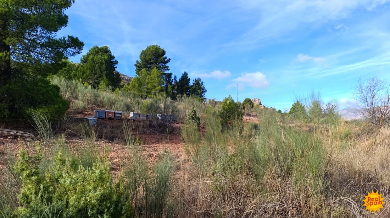 Undeveloped Land for sale in Chirivel - € 19,000 (Ref: 9483213)