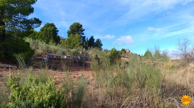 Undeveloped Land for sale in Chirivel - € 19,000 (Ref: 9483213)