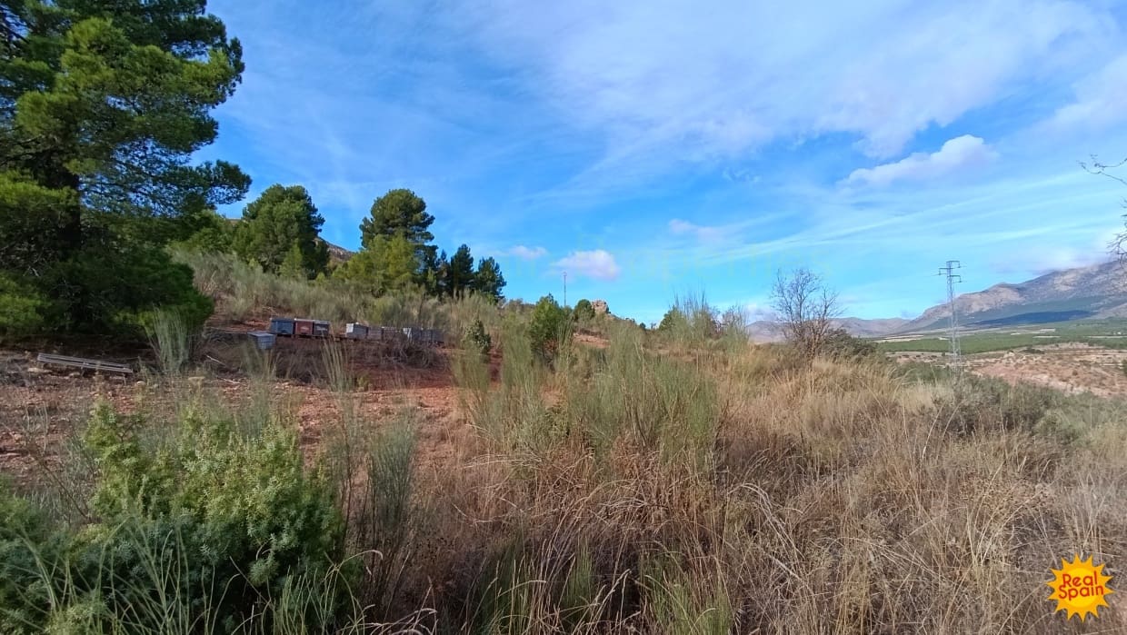 Undeveloped Land for sale in Chirivel - € 19,000 (Ref: 9483213)