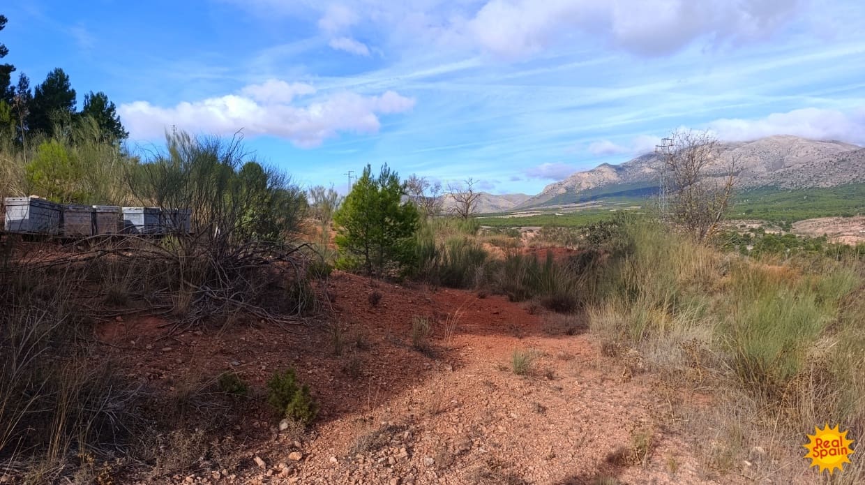 Undeveloped Land for sale in Chirivel - € 19,000 (Ref: 9483213)