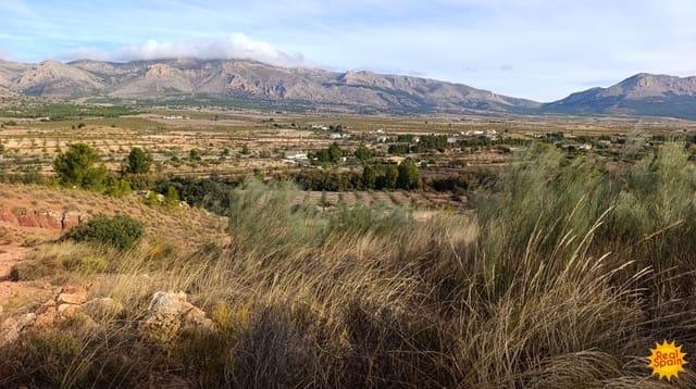 Undeveloped Land for sale in Chirivel - € 19,000 (Ref: 9483213)