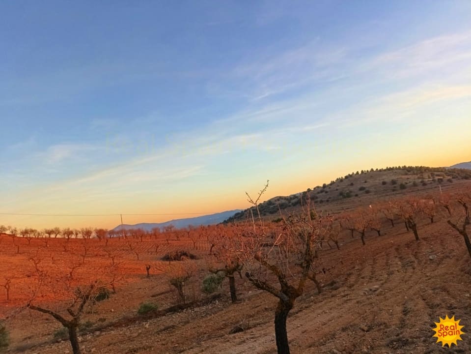 Commercial for sale in Velez-Rubio - € 88,000 (Ref: 9483214)