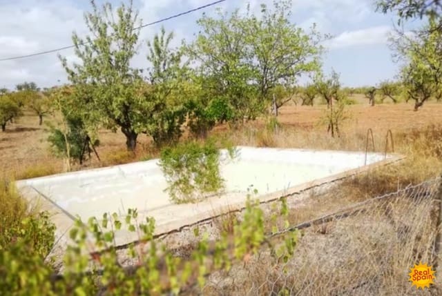 Commercial for sale in Vélez-Rubio - € 88,000 (Ref: 9483214)