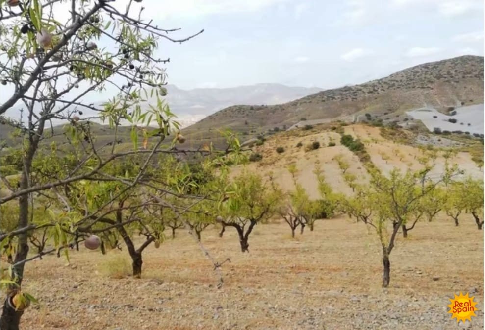 Commercial for sale in Velez-Rubio - € 88,000 (Ref: 9483214)