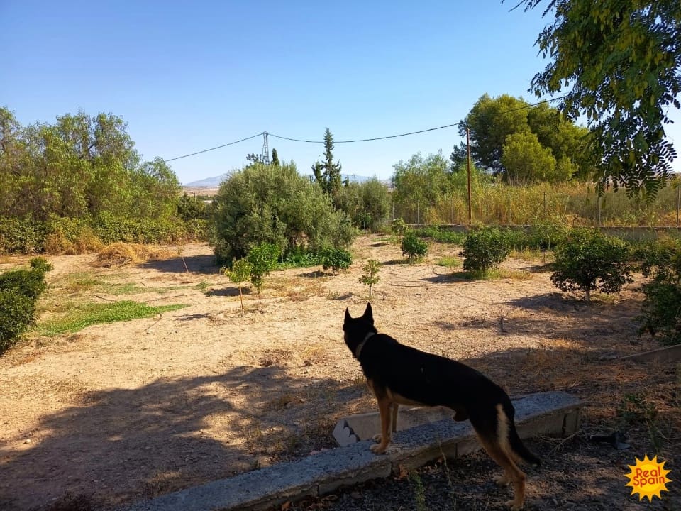 4 bedroom Finca/Country House for sale in Lorca with pool - € 570,000 (Ref: 9557369)
