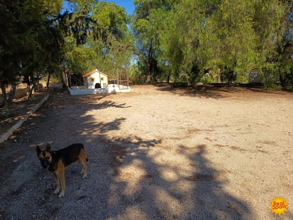 4 bedroom Finca/Country House for sale in Lorca with pool - € 570,000 (Ref: 9557369)