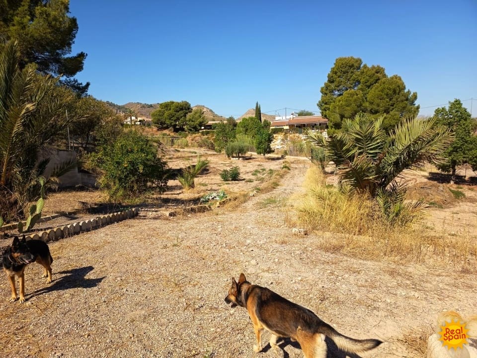 4 bedroom Finca/Country House for sale in Lorca with pool - € 570,000 (Ref: 9557369)