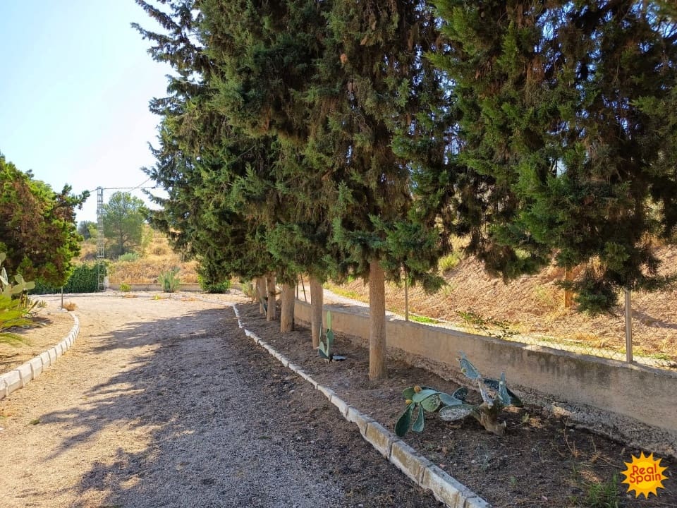 4 bedroom Finca/Country House for sale in Lorca with pool - € 570,000 (Ref: 9557369)