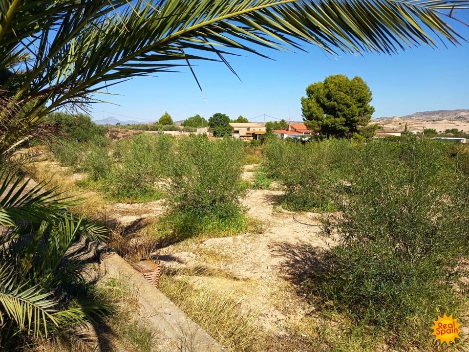 4 bedroom Finca/Country House for sale in Lorca with pool - € 570,000 (Ref: 9557369)