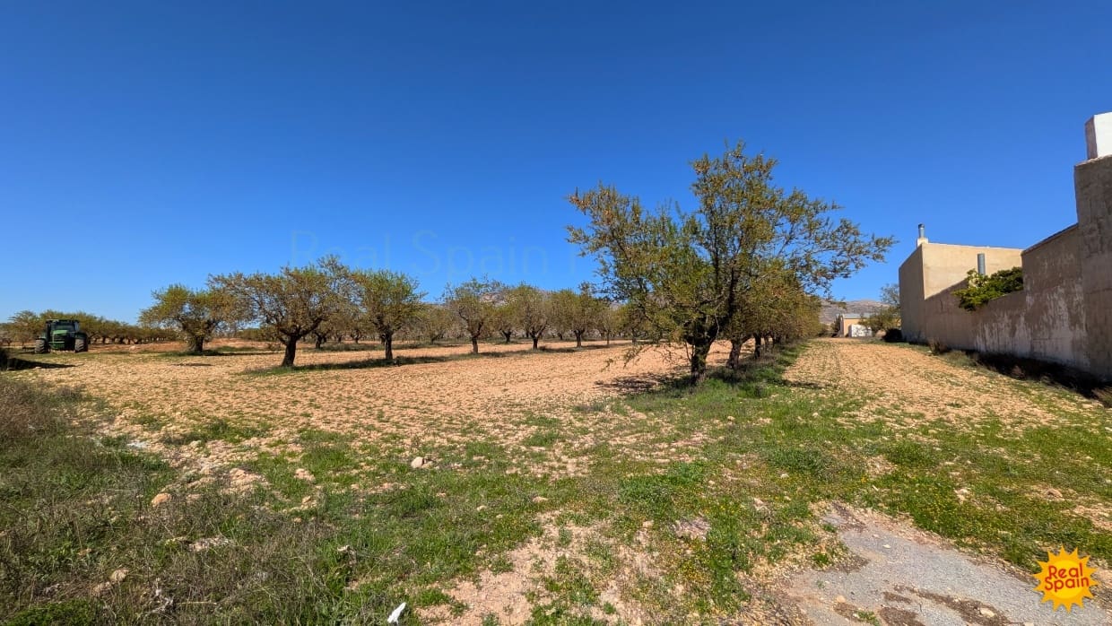 Ubebygd land til salgs i Chirivel - € 69 000 (Ref: 9770859)