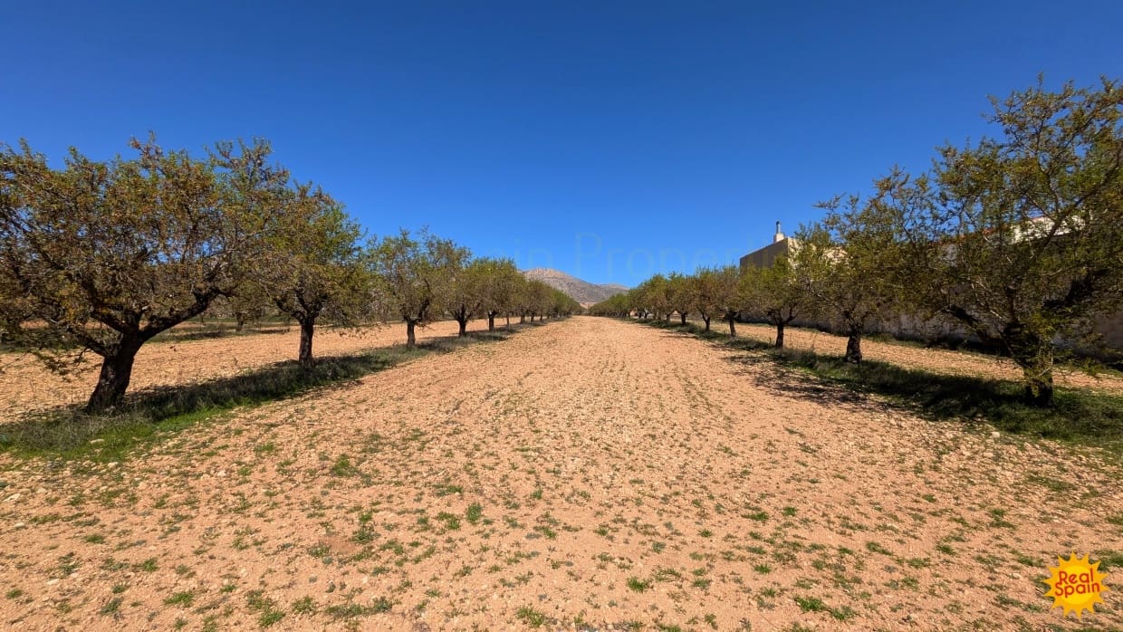 Ubebygd land til salgs i Chirivel - € 69 000 (Ref: 9770859)