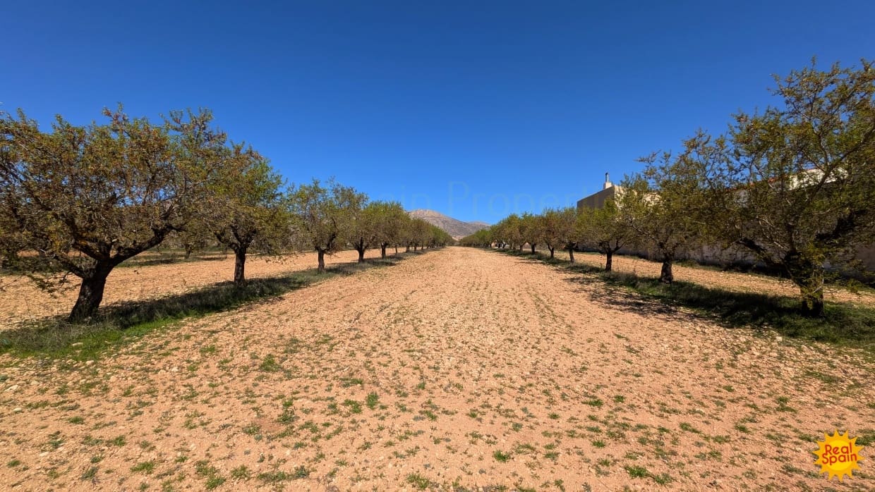 Ubebygd land til salgs i Chirivel - € 69 000 (Ref: 9770859)