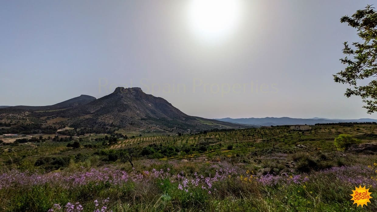 4 soverom Finca/Herregård til salgs i Velez-Blanco - € 199 000 (Ref: 9784913)