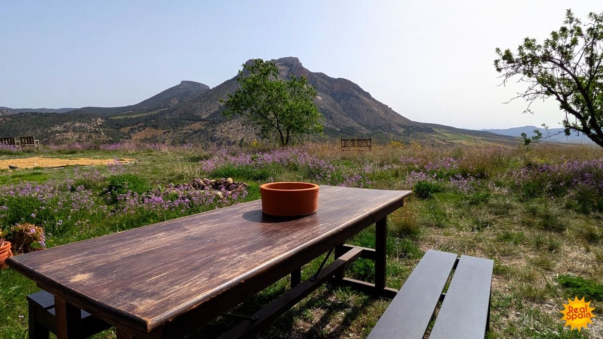 4 soverom Finca/Herregård til salgs i Velez-Blanco - € 199 000 (Ref: 9784913)