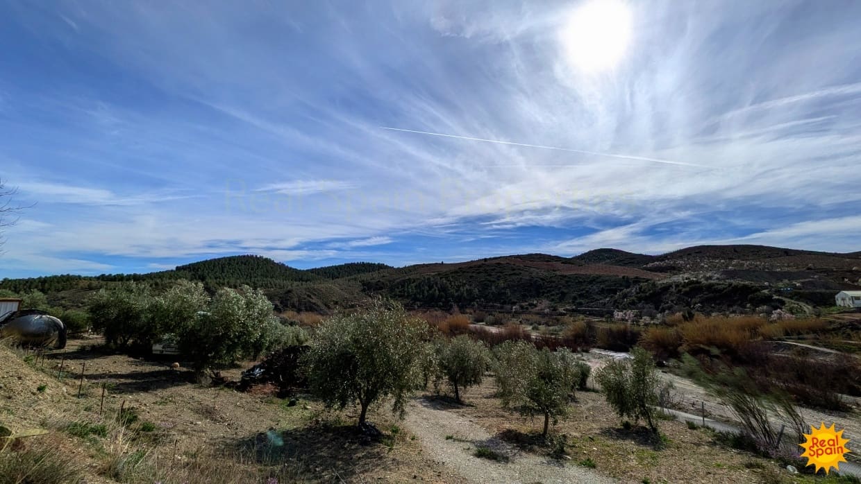 7 quarto Comercial para venda em Velez-Rubio com piscina - 349 000 € (Ref: 9798207)