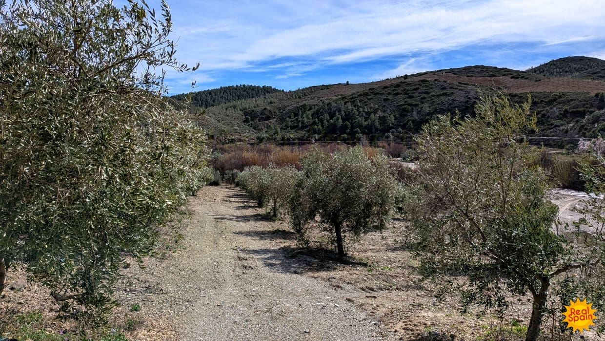 7 quarto Comercial para venda em Velez-Rubio com piscina - 349 000 € (Ref: 9798207)