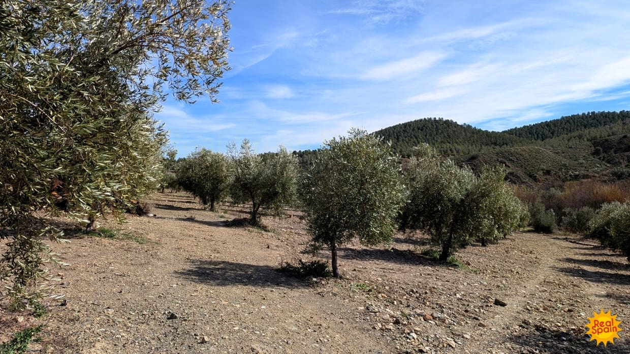 7 quarto Comercial para venda em Velez-Rubio com piscina - 349 000 € (Ref: 9798207)