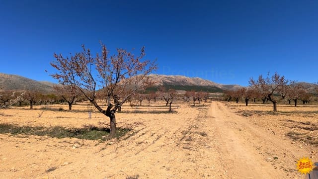 Terreno Não Urbanizado para venda em Chirivel - 60 000 € (Ref: 9800817)