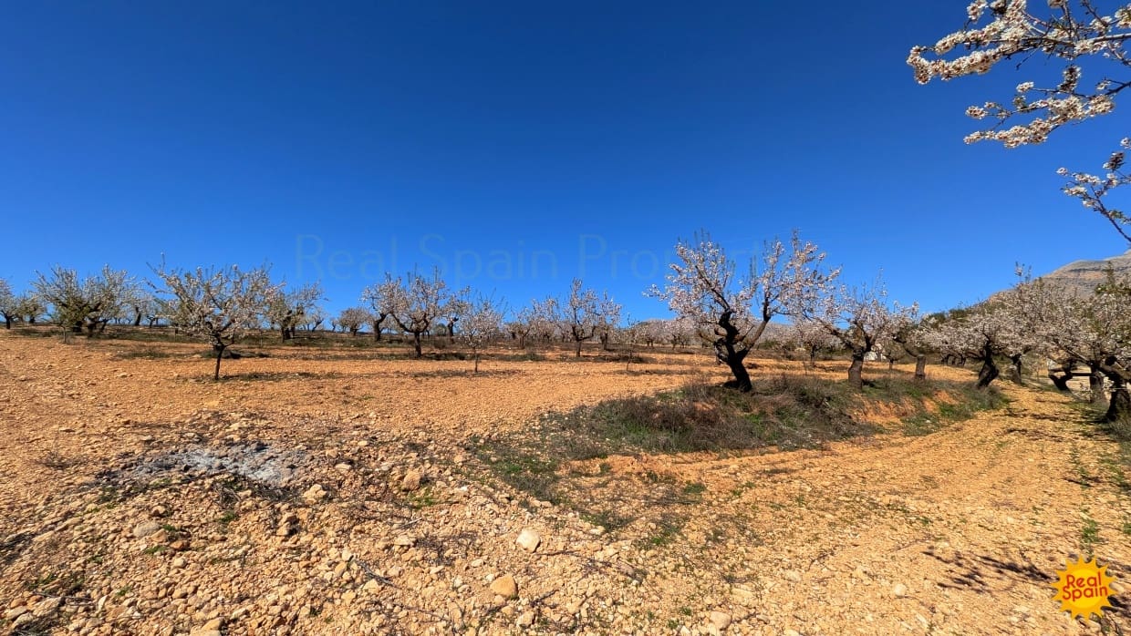 Terreno Não Urbanizado para venda em Chirivel - 60 000 € (Ref: 9800817)