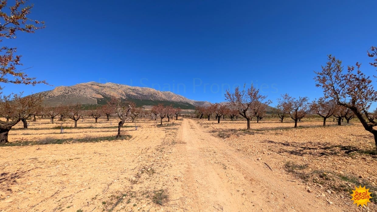 Terreno Não Urbanizado para venda em Chirivel - 60 000 € (Ref: 9800817)