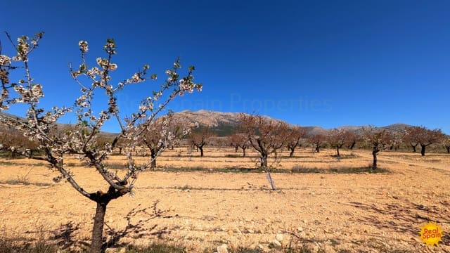 Terreno Não Urbanizado para venda em Chirivel - 60 000 € (Ref: 9800817)