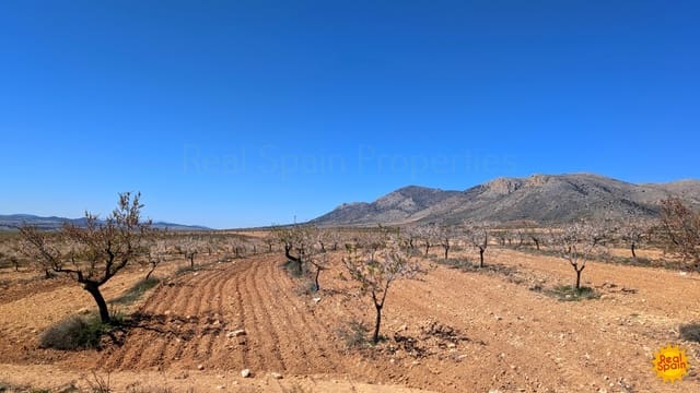 Terreno Não Urbanizado para venda em Chirivel - 60 000 € (Ref: 9800817)