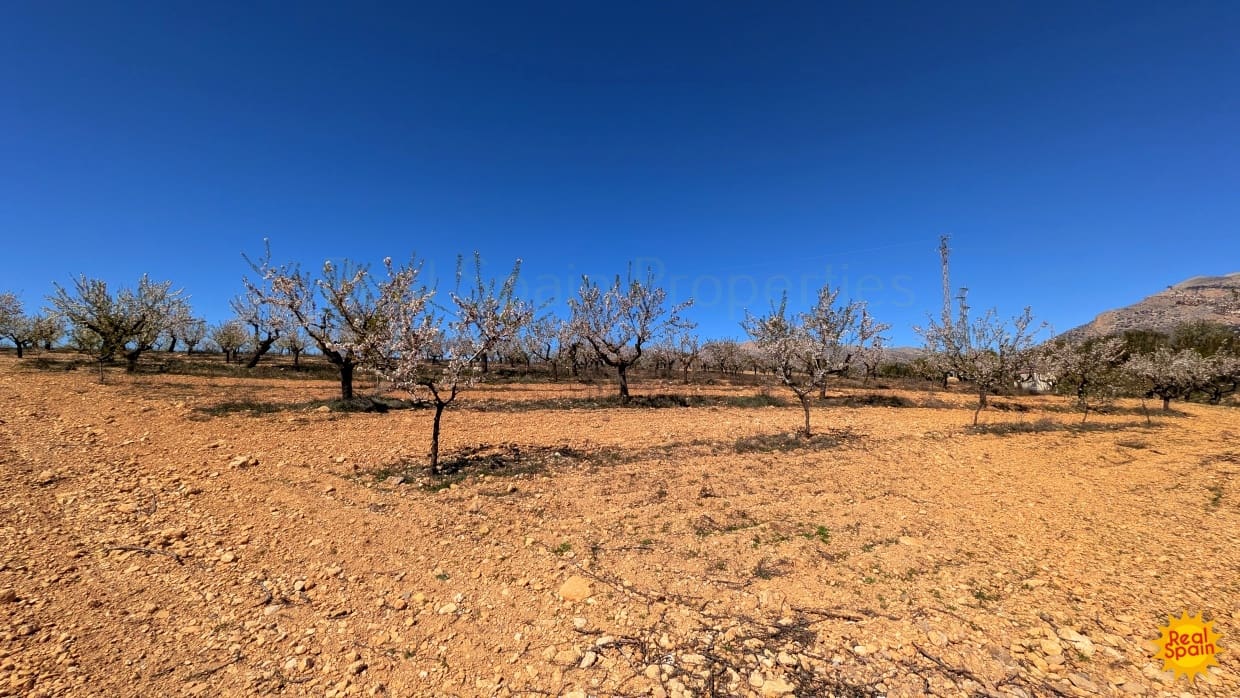Terreno Não Urbanizado para venda em Chirivel - 60 000 € (Ref: 9800817)