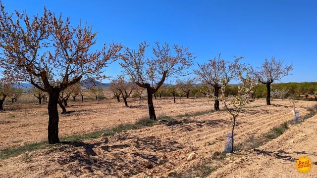 Terreno Não Urbanizado para venda em Chirivel - 60 000 € (Ref: 9800817)