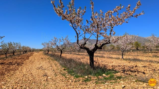 Terreno Não Urbanizado para venda em Chirivel - 60 000 € (Ref: 9800817)