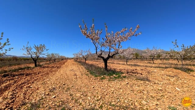 Terreno Não Urbanizado para venda em Chirivel - 60 000 € (Ref: 9800817)