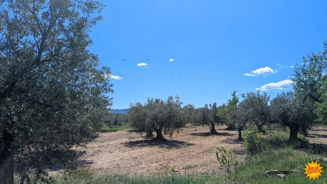 3 quarto Quinta/Casa Rural para venda em Velez-Blanco - 210 000 € (Ref: 9800819)