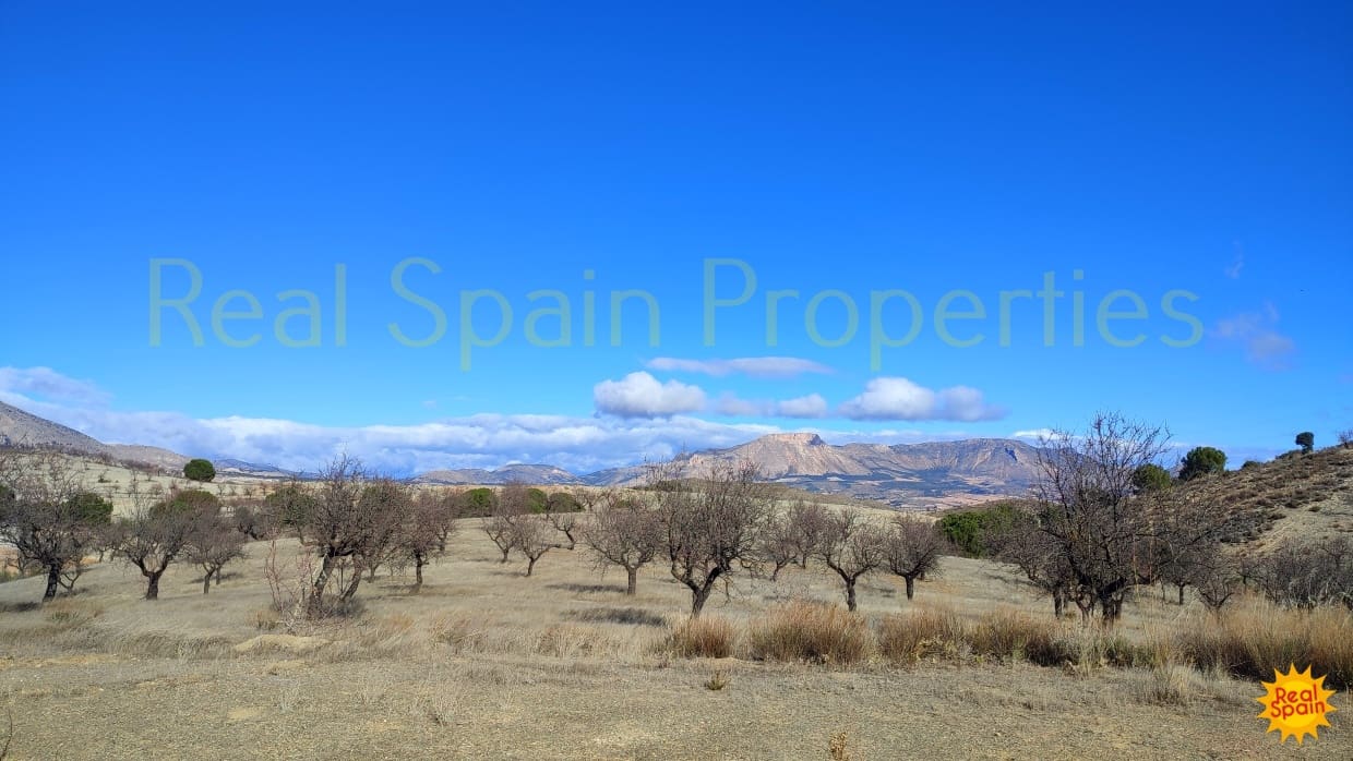 Finca/Landehus til salg i Velez-Rubio - € 50.000 (Ref: 9805604)