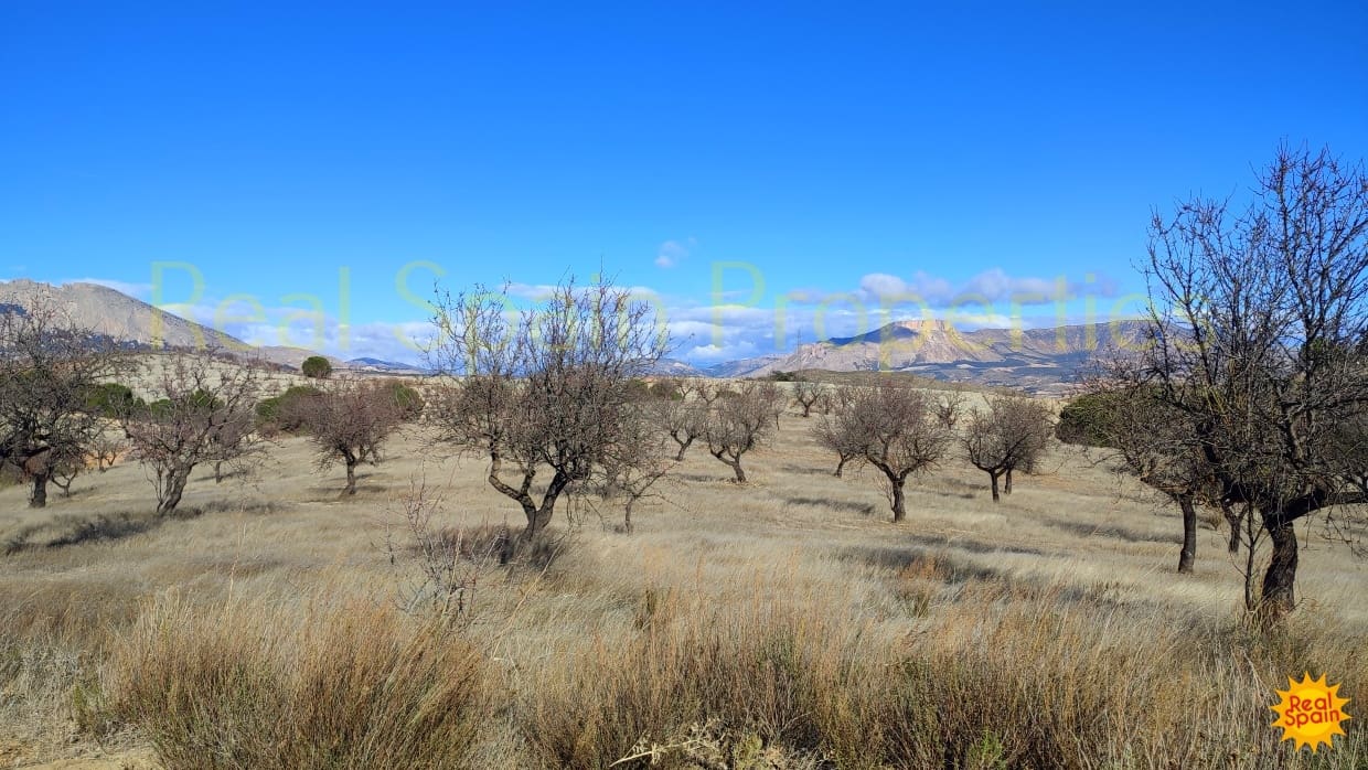 Finca/Landehus til salg i Velez-Rubio - € 50.000 (Ref: 9805604)