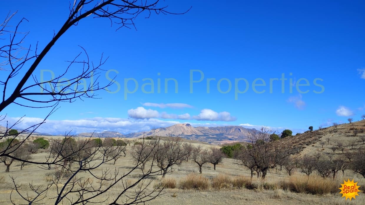 Finca/Landehus til salg i Velez-Rubio - € 50.000 (Ref: 9805604)