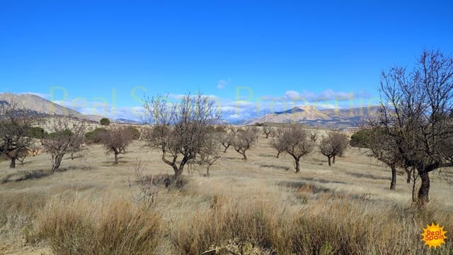 Finca/Landehus til salg i Vélez-Rubio - € 50.000 (Ref: 9805604)