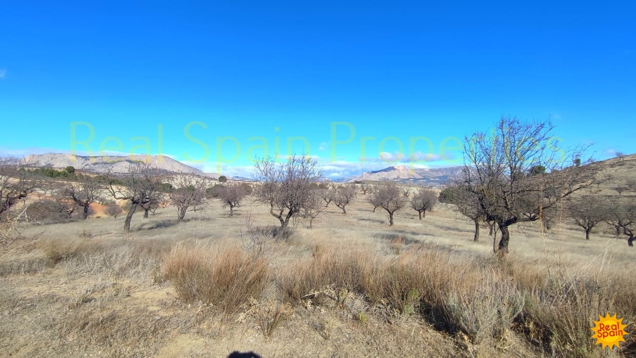 Finca/Landehus til salg i Velez-Rubio - € 50.000 (Ref: 9805604)