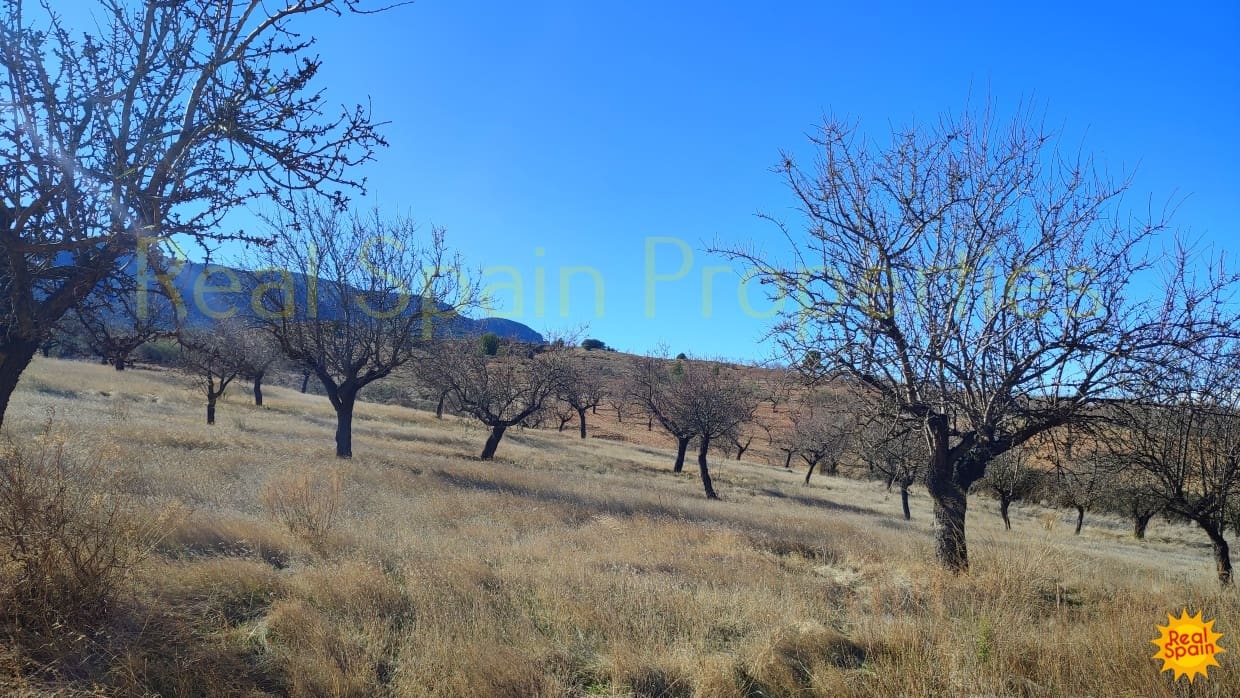 Finca/Landehus til salg i Velez-Rubio - € 50.000 (Ref: 9805604)