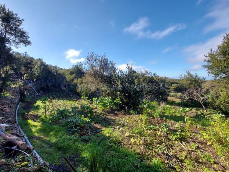 2 chambre Villa/Maison à vendre à El Tanque - 350 000 € (Ref: 5849874)