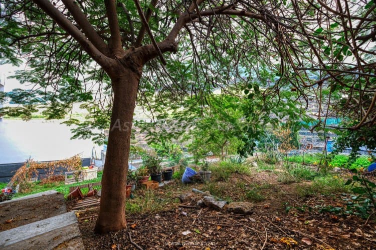 5 soveværelse Villa til salg i Adeje - € 750.000 (Ref: 8038886)