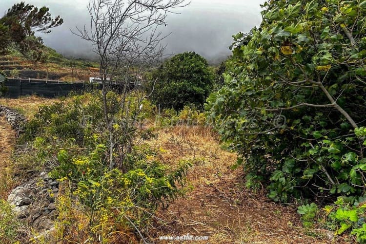 Byggegrund til salg i El Palmar - € 68.000 (Ref: 9588432)