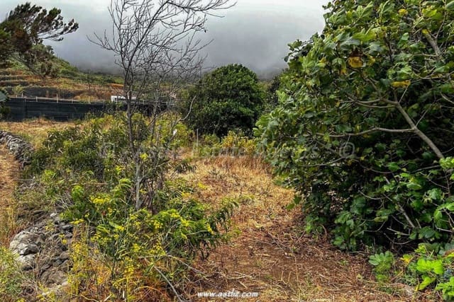 Byggegrund til salg i El Palmar, Buenavista del Norte - € 68.000 (Ref: 9588432)