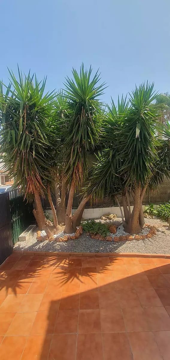 2 chambre Villa/Maison à vendre à Roses avec piscine garage - 209 000 € (Ref: 10086037)