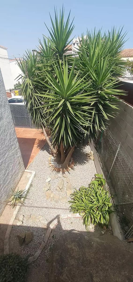 2 chambre Villa/Maison à vendre à Roses avec piscine garage - 209 000 € (Ref: 10086037)