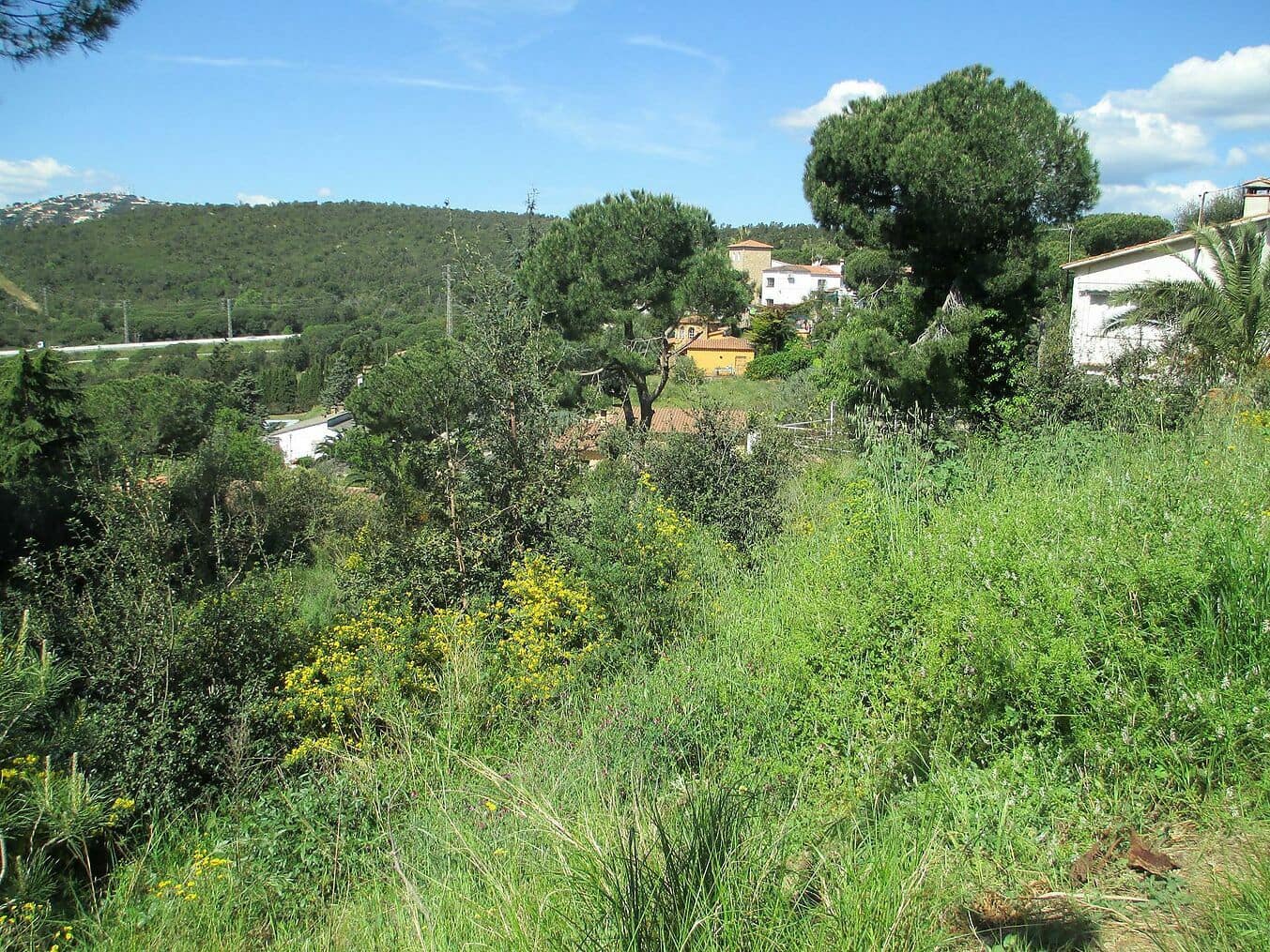 Ubebygd land til salgs i Sant Antoni de Calonge - € 200 000 (Ref: 6807261)