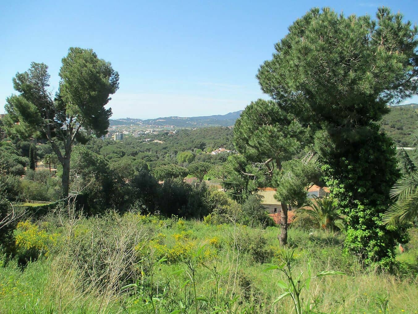 Ubebygd land til salgs i Sant Antoni de Calonge - € 200 000 (Ref: 6807261)