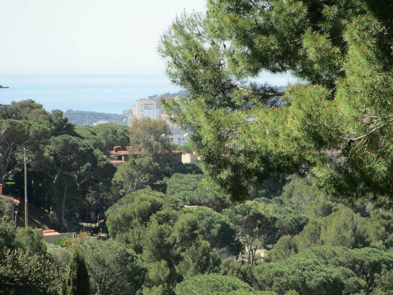 Ubebygd land til salgs i Sant Antoni de Calonge - € 200 000 (Ref: 6807261)