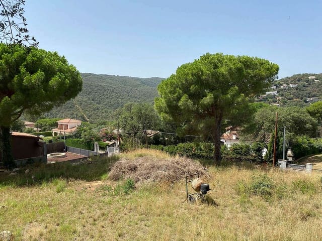 Ubebygd land til salgs i Calonge i Sant Antoni - € 140 000 (Ref: 6807272)